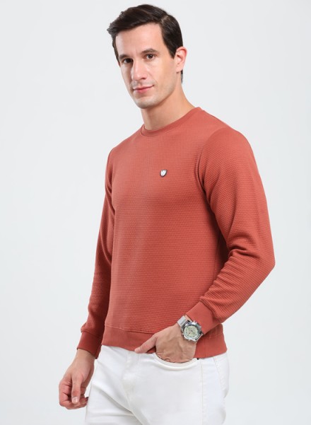 Mens Classic Crewneck Sweatshirt